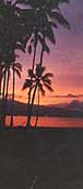 Maui Vacation Properties