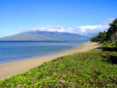 Waiohuli Beach Hale, vacation rental condos in Kihei, Maui