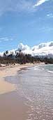 Maui Vacation Properties