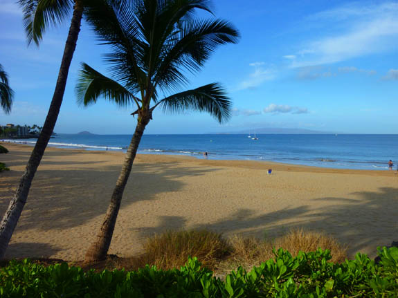 Vacation rental cottage Maui Kihei