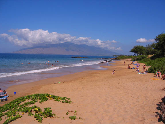 Maui Vacation rentals