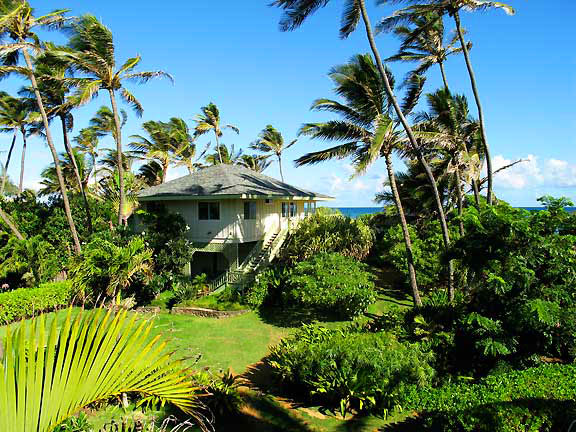 Windsurfing vacation rental cottage in Spreckelsville Maui