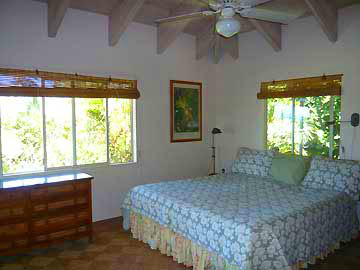 Property Description:    Coconut Cove is a large oceanfront, beach property, just upwind of beautiful Spreckelsville beach.  The beach offers a windsurfing launch for experienced sailors (although it can erode in late summer/fall).  Beginners might want to launch several hundred yards down the beach at the Spreckelsville public beach area.  The grounds have plenty of large tropical plants and palm trees, BBQ areas, plenty of parking, and enclosed outdoor showers for each unit.  Windsurfing equipment can easily be stored near your unit.