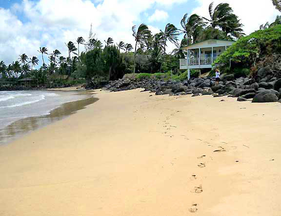 Windsurfing vacation rental cottage Paia Spreckelsville