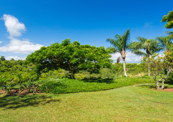 Romantic Haiku Maui vacation rental cottage