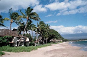 Maalaea Surf vacation rental condos in Kihei Maui