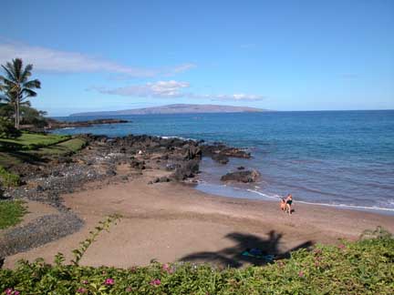 Makena Surf - deluxe oceanfront condos in Wailea Maui