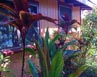 Menehune Cottage in Paia Maui