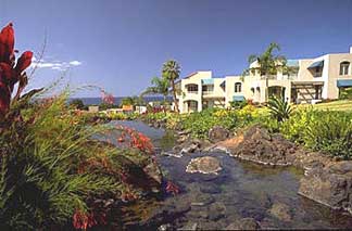 Palms at Wailea vacation condo rentals