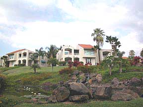 Palms at Wailea vacation condo rentals