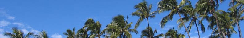 Maui Sports Vacations hiking, biking, surfing