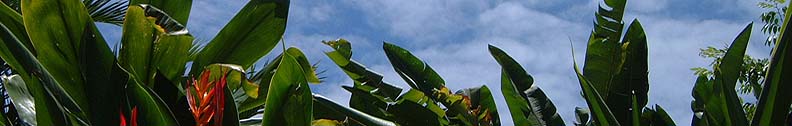 Maui surfing, windsurfing, kite surfing, hiking, biking