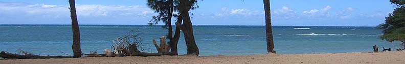 Maui vacations - windsurfing, surfing, kite surfing